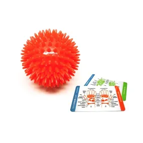 Body Back Company's Porcupine Massage Ball Red with Reflexology Card