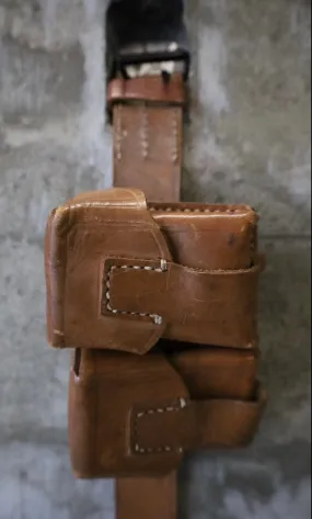 CAMEL BELT BAG