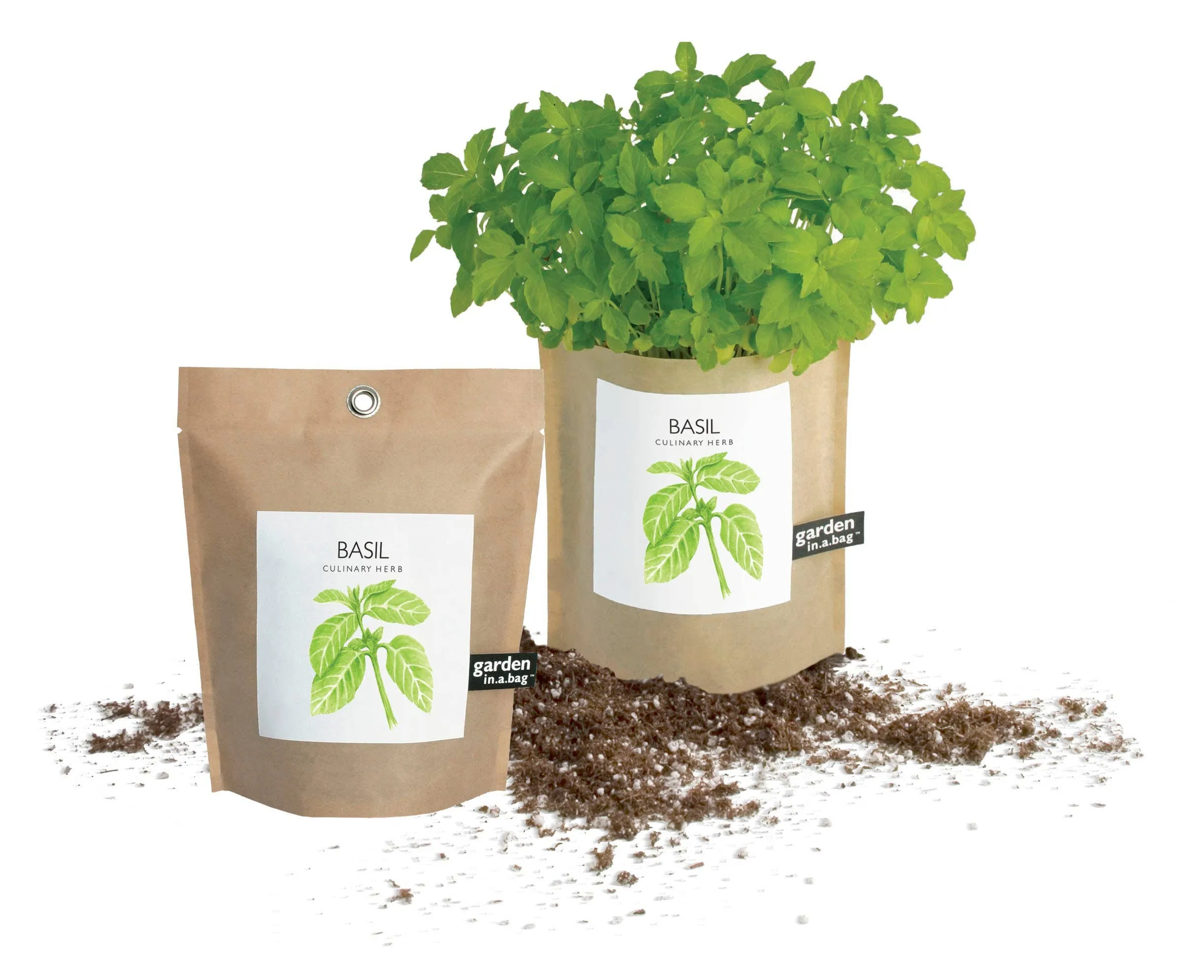 Garden in a Bag | Basil | Mother's Day Gift