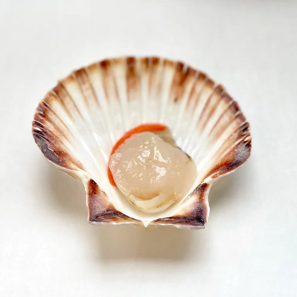 Half-Shell Scallop with Roe