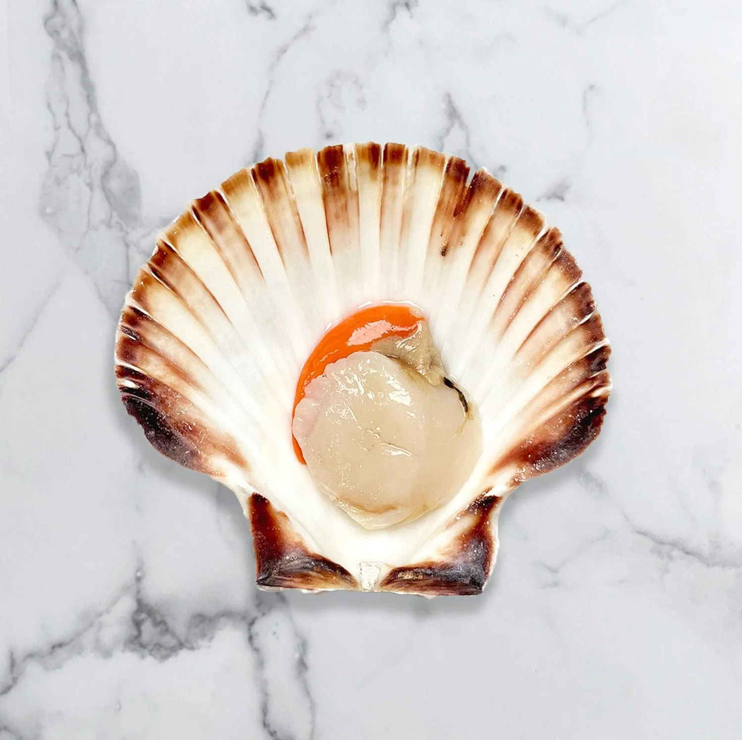 Half-Shell Scallop with Roe