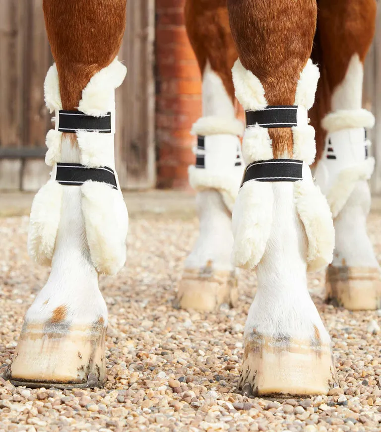 Premier Equine Techno Wool Tendon Jump Boots