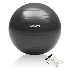 Viavito 500kg Studio Anti-burst 65cm Gym Ball